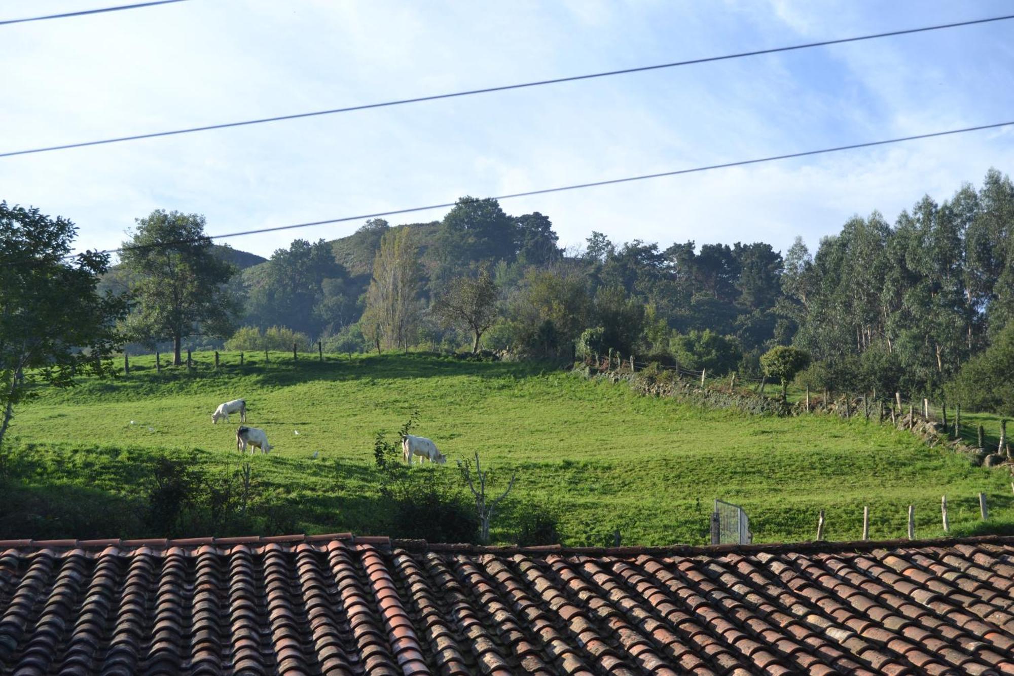 Casa Canal De Las Tejeras Corrales De Buelna Kültér fotó